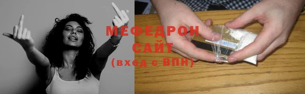 индика Бородино